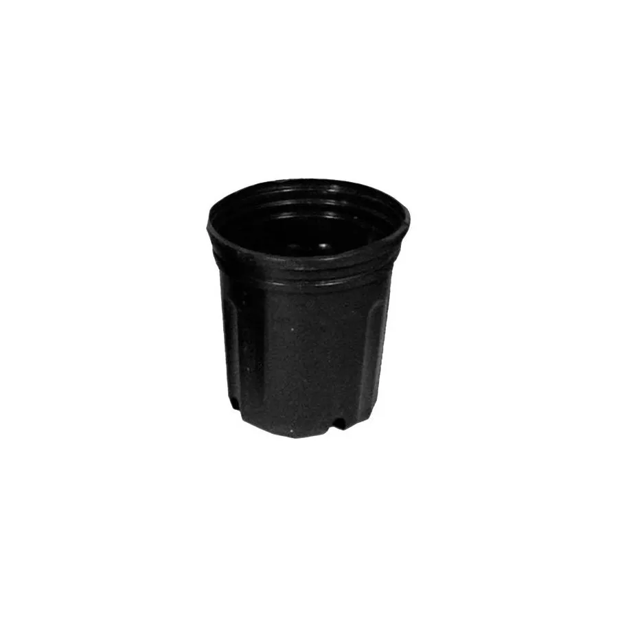 /public/media/2-5-gal.webp