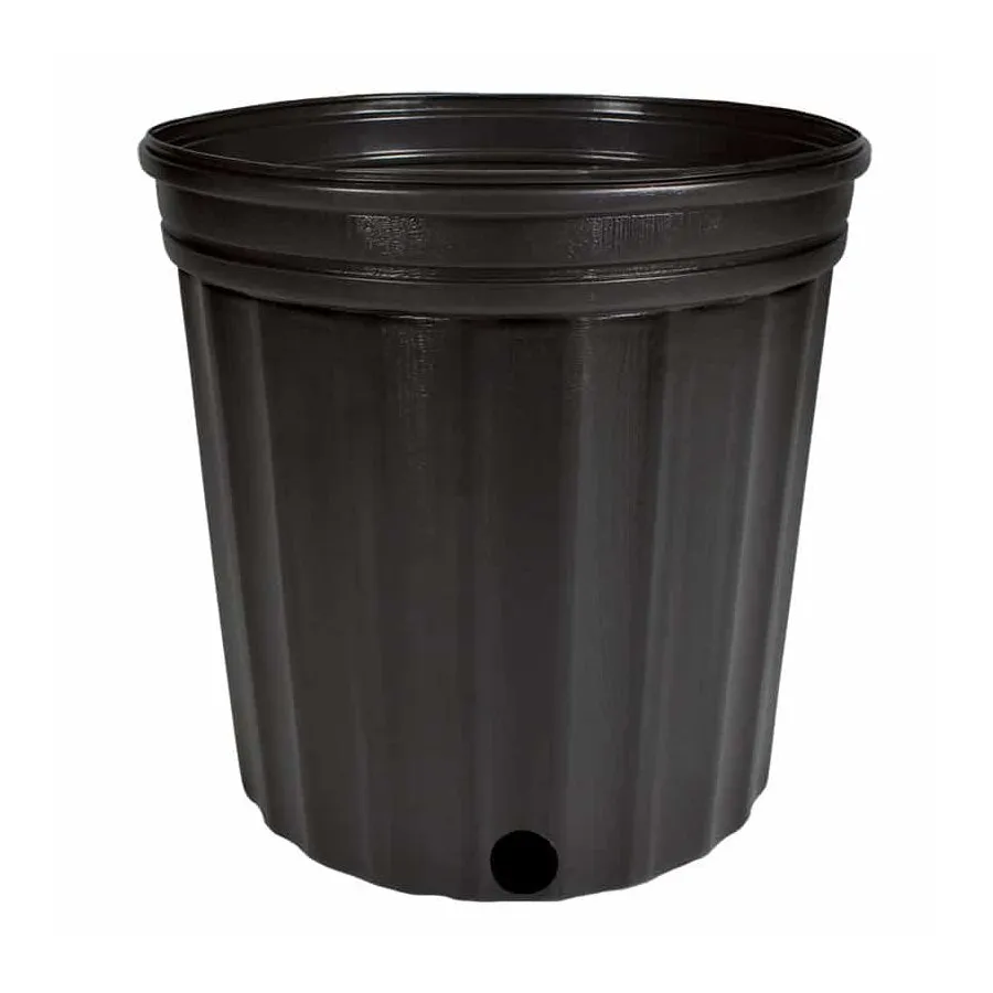/public/media/5-gal.webp