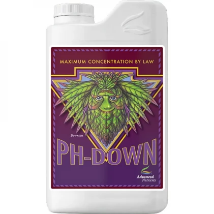 /public/media/advance-ph-down.webp