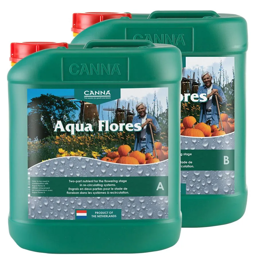 /public/media/aqua-flores.webp