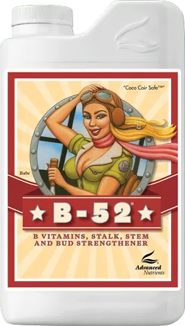 /public/media/b52.webp