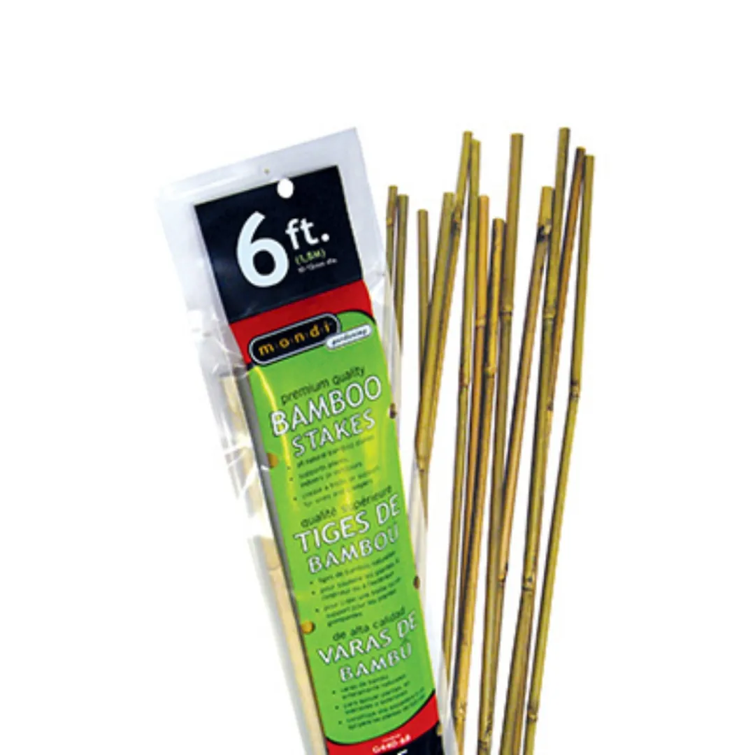 /public/media/bamboo-6.webp