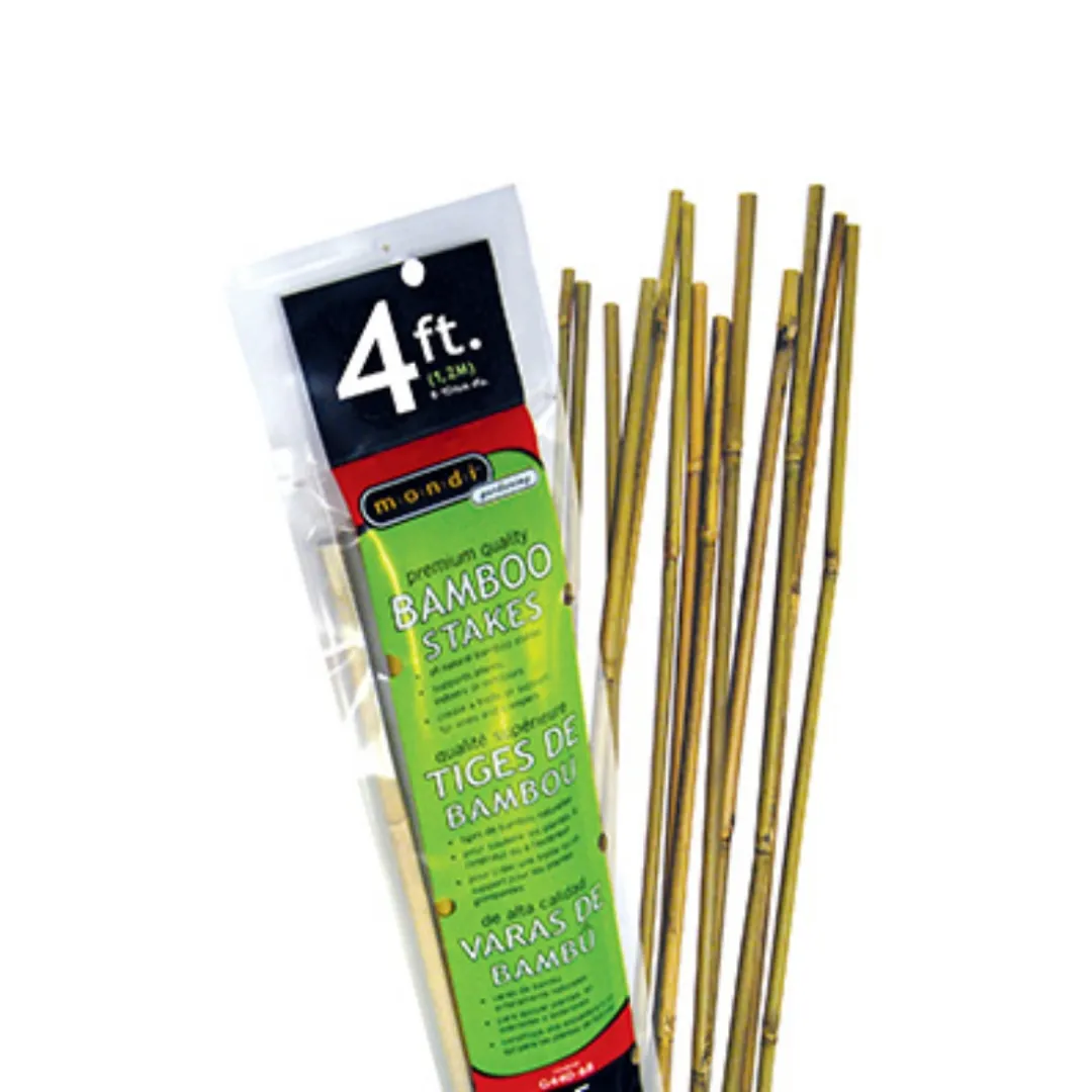 /public/media/bamboo-8-10-mm-4.webp