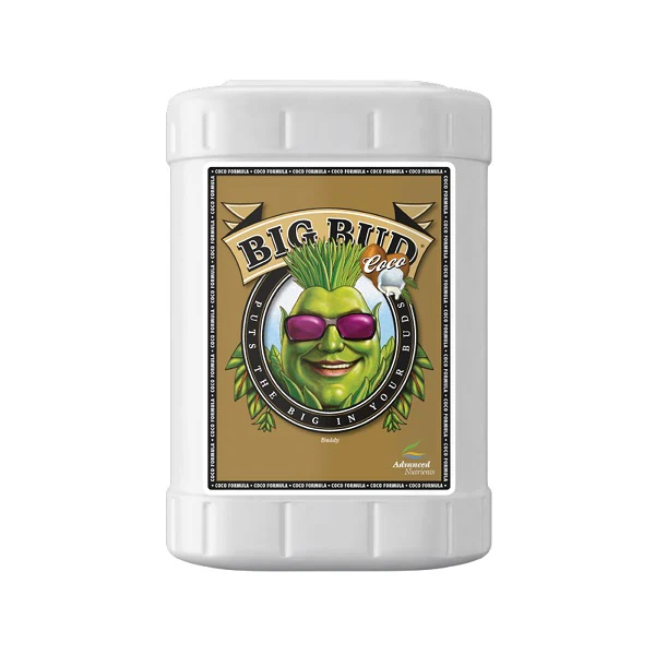 /public/media/big-bud-coco.webp