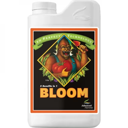 /public/media/bloom.webp