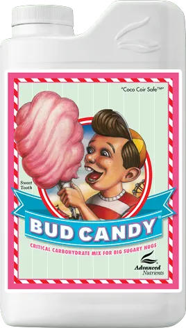 /public/media/bud-candy.webp