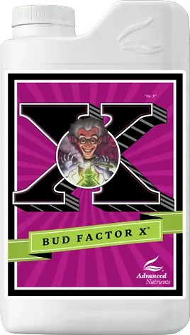/public/media/bud-factor.webp