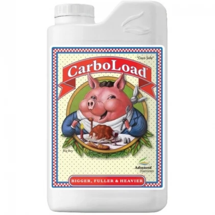 /public/media/carboload.webp