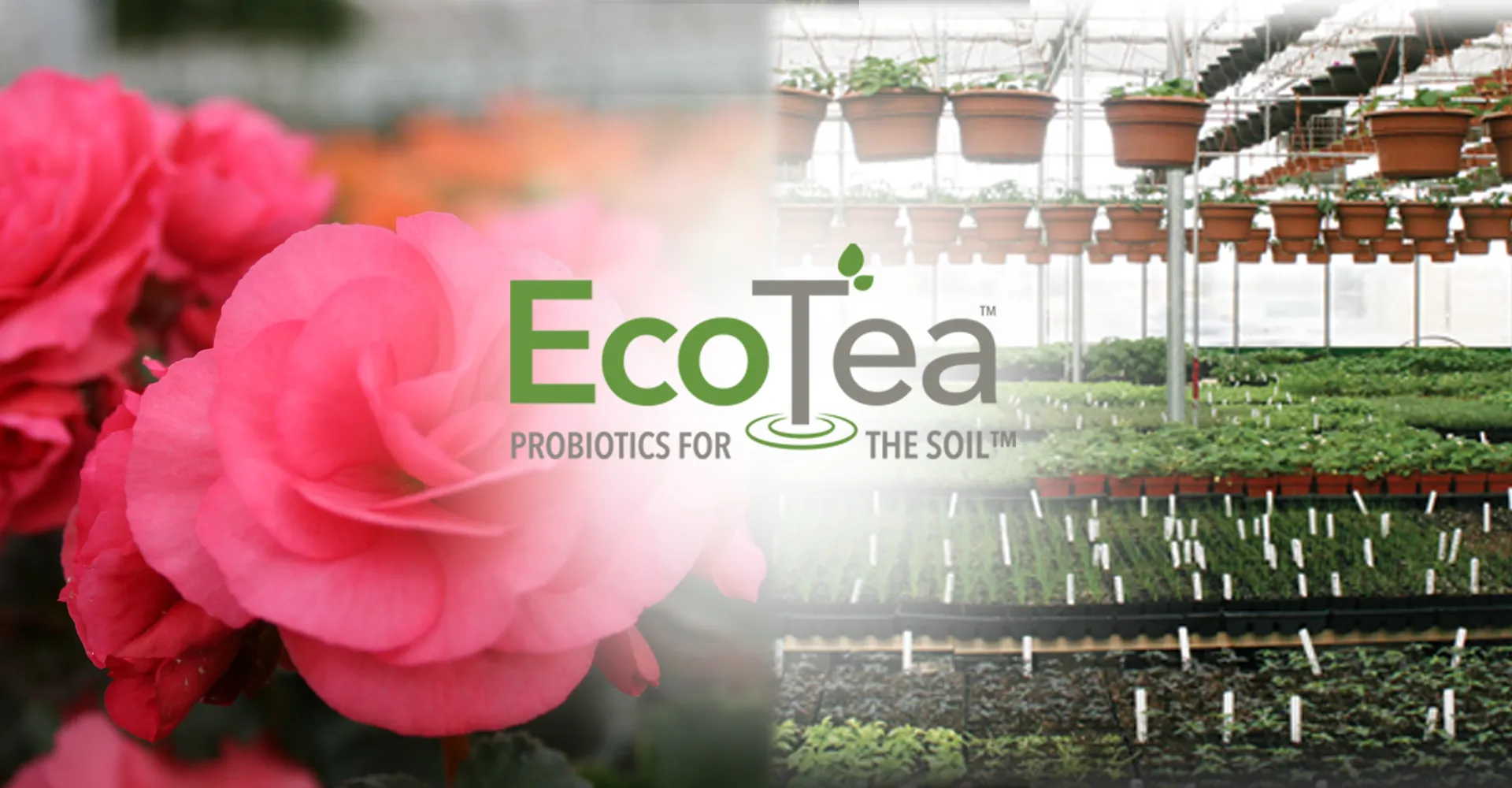 /public/media/ecotea-for-gardeners-indoor-outdoor.webp