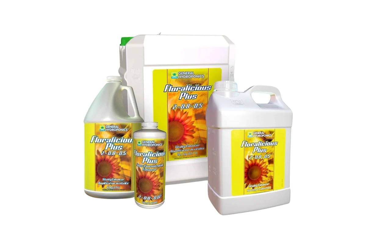 /public/media/floralicious-plus.webp