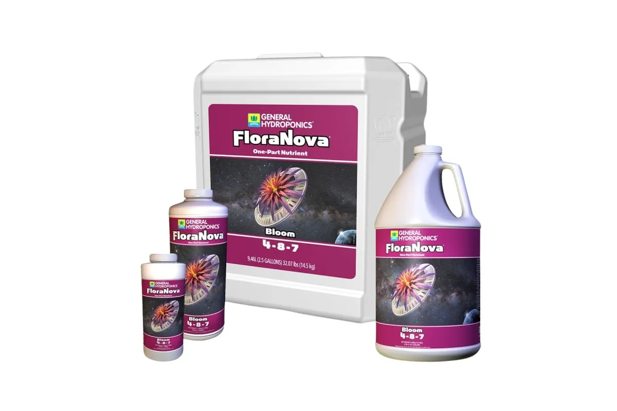 /public/media/floranova-bloom.webp