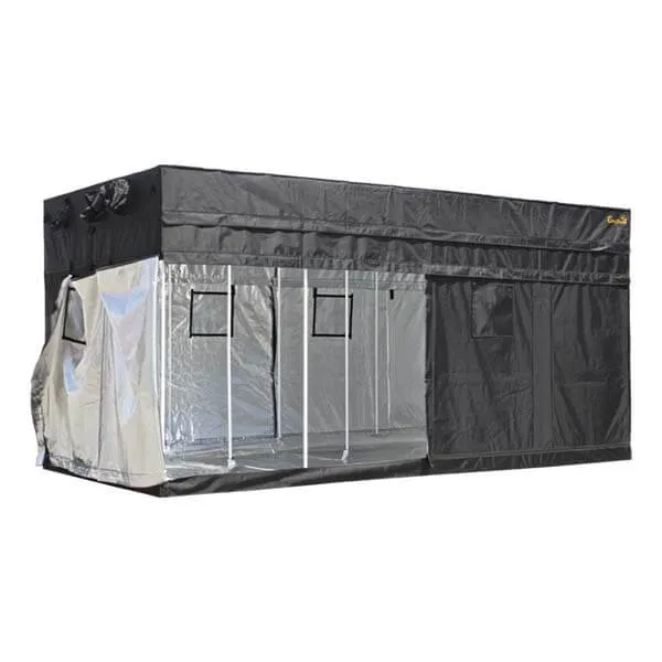 /public/media/gorilla-tent-8x16-1.webp