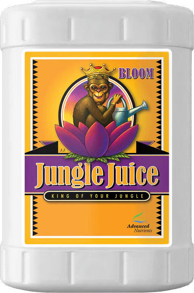 /public/media/jungle-bloom.webp