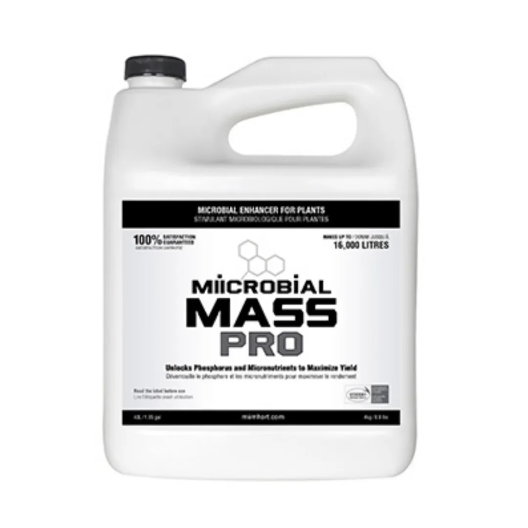 /public/media/micr-2.webp