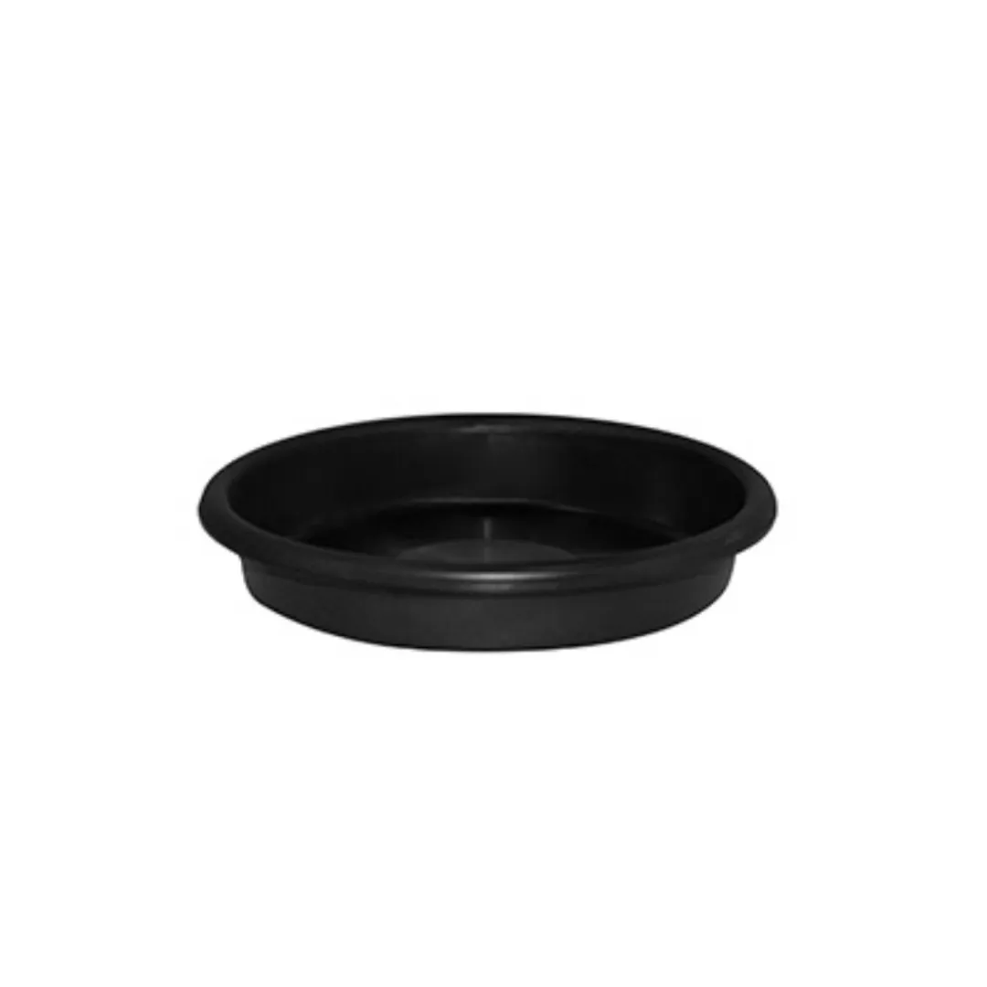 /public/media/mondi-saucers.webp