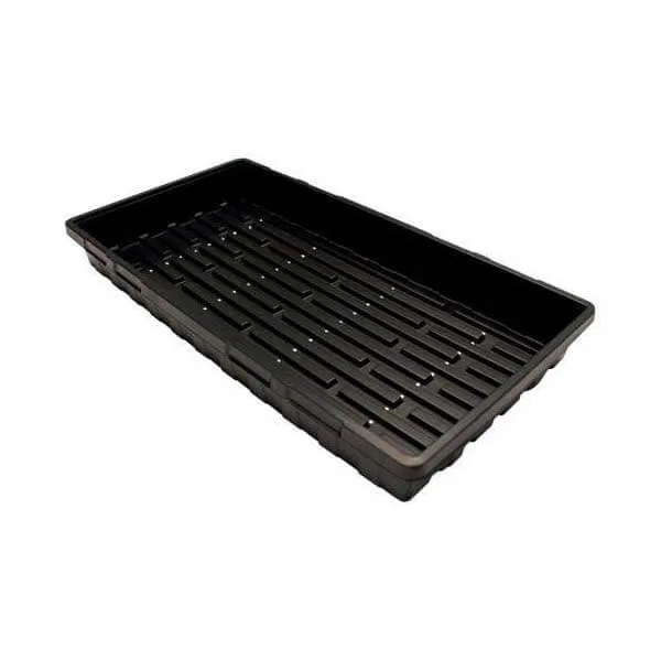 /public/media/mondi-tray-with-holes.webp