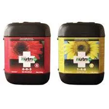 /public/media/nutri-plus-bloom.webp