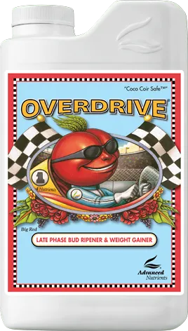 /public/media/overdrive.webp