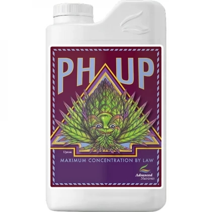 /public/media/ph-up.webp