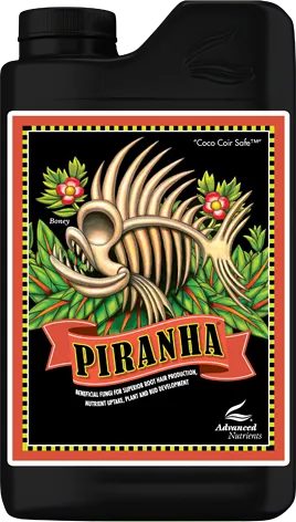 /public/media/piranha.webp
