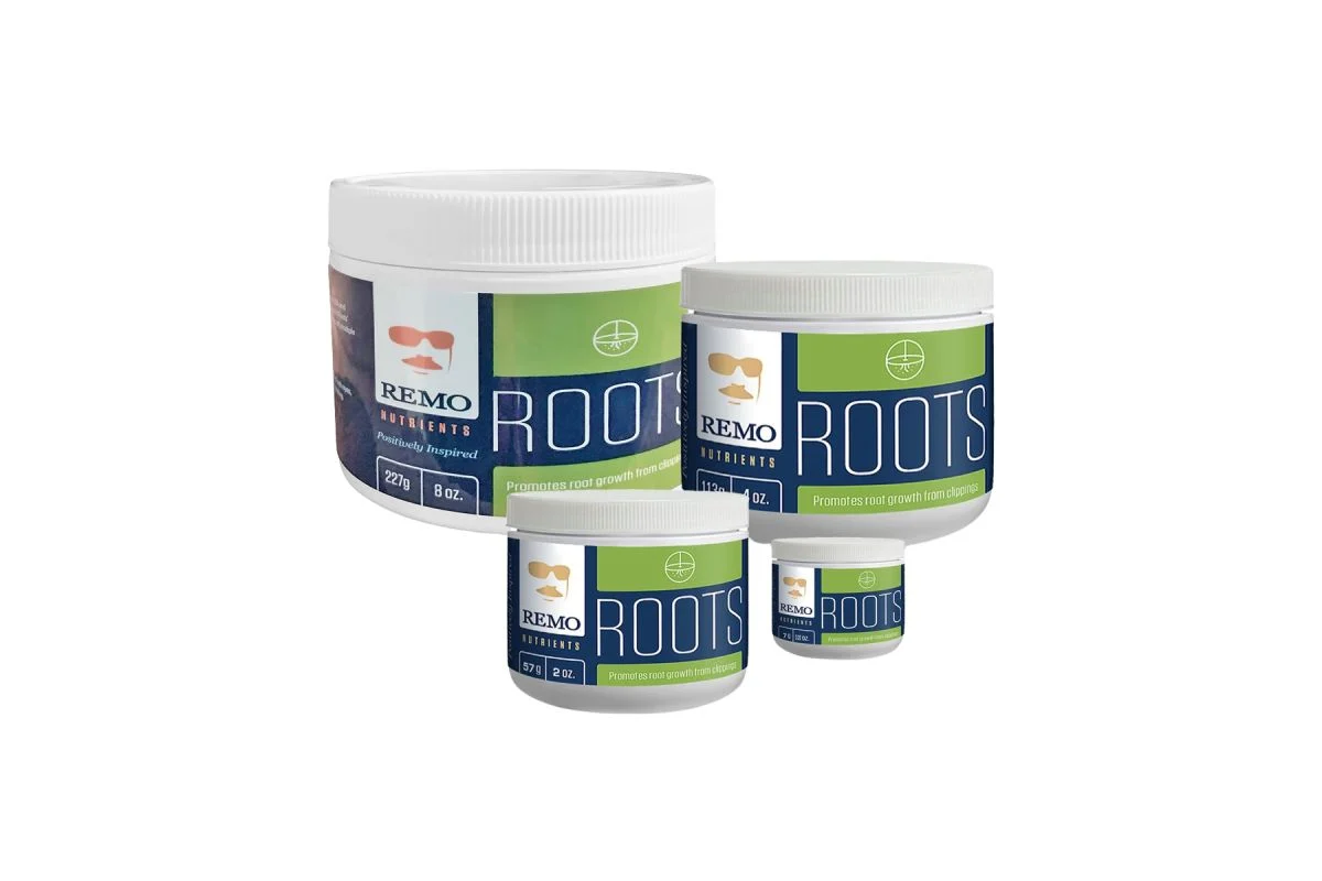 /public/media/remo-roots-67d93d4ce8a89.webp