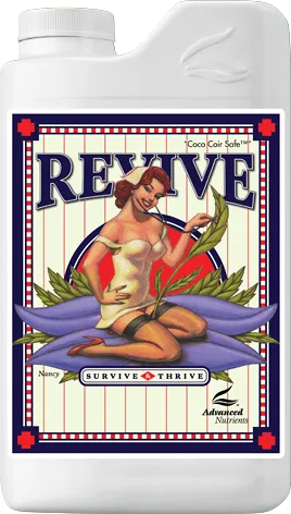 /public/media/revive.webp
