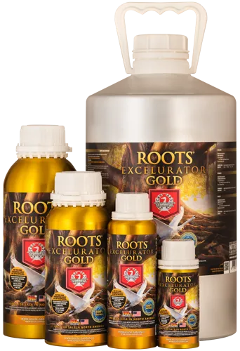 /public/media/roots-gold-famliy.webp