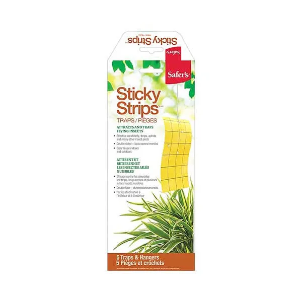 /public/media/safers-sticky-strips.webp