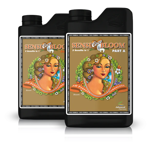 /public/media/sensicocobloom.webp
