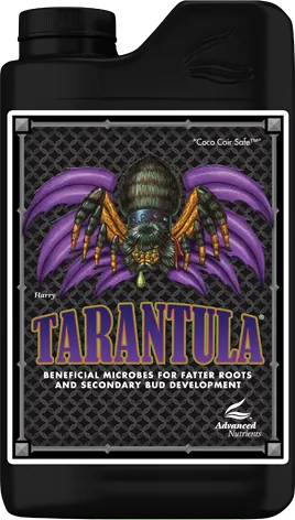 /public/media/tarantula.webp